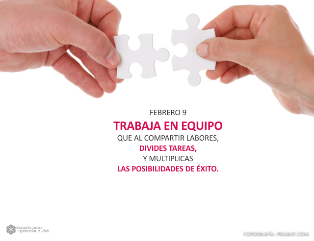 Trabaja en equipo